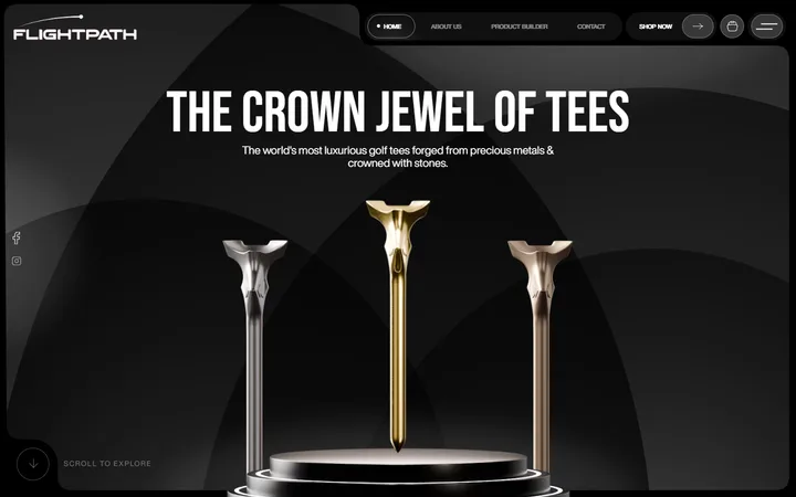 The Billionaire Collection website